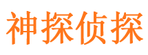 东宝侦探公司